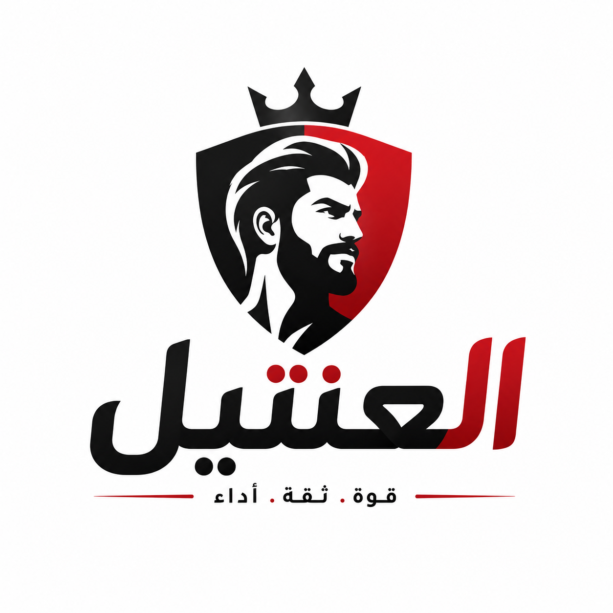 شقة تجريبي